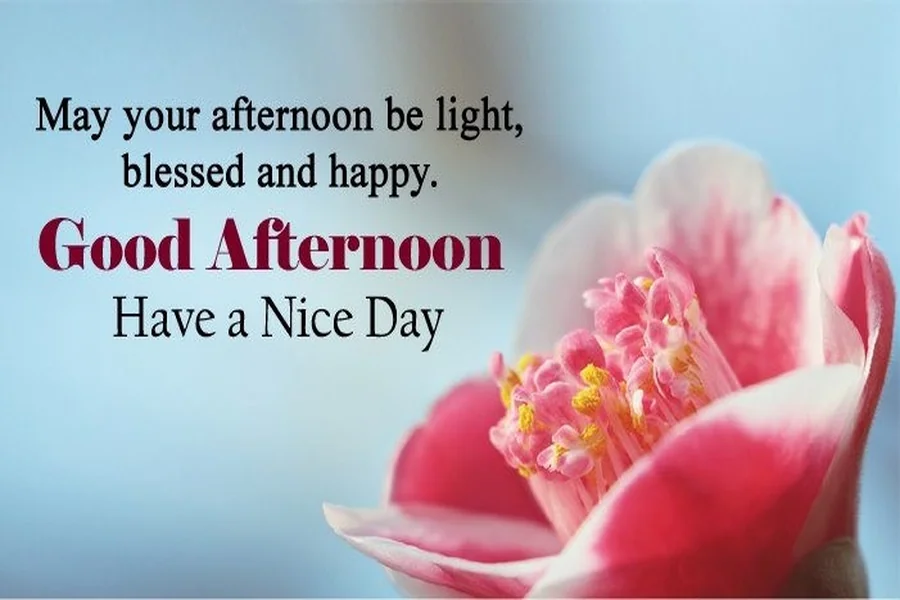 Good Afternoon Wishes